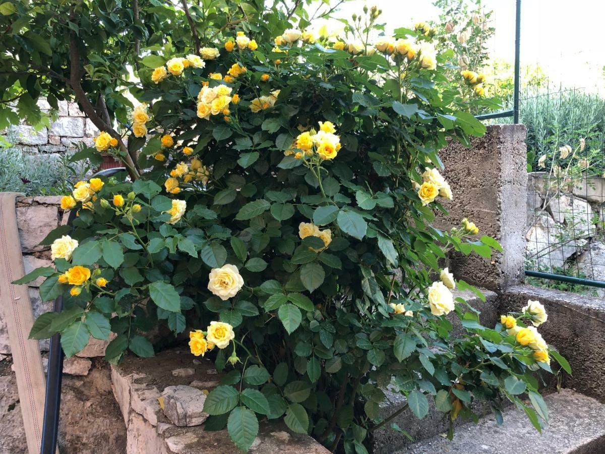 Stermasi Apartments Saplunara Dış mekan fotoğraf
